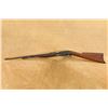 Image 7 : Remington Model 12 .22 S L LR 22" Slide-Action Rimfire Rifle, MFD 1912-1921 C&R