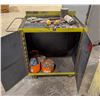 Image 2 : CUSTOM METAL CABINET ON CASTERS