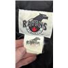 Image 2 : VTG Vancouver Grizzlies NBA Ravens Colorblock Jacket