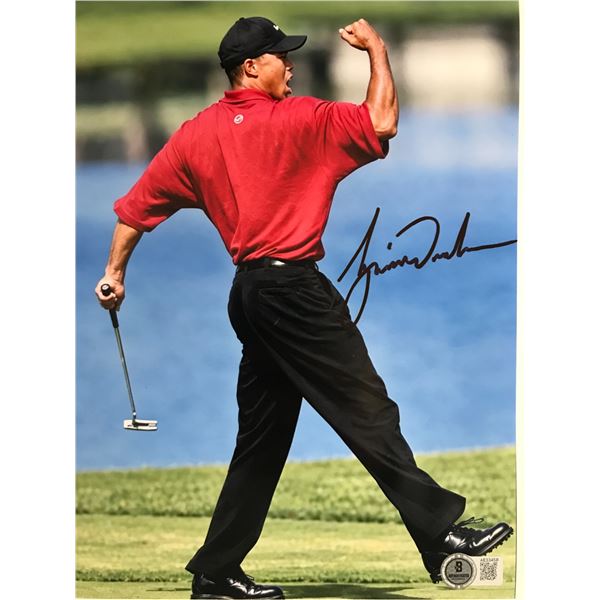 TIGER WOODS SIGNED 8X10 - BECKETT COA