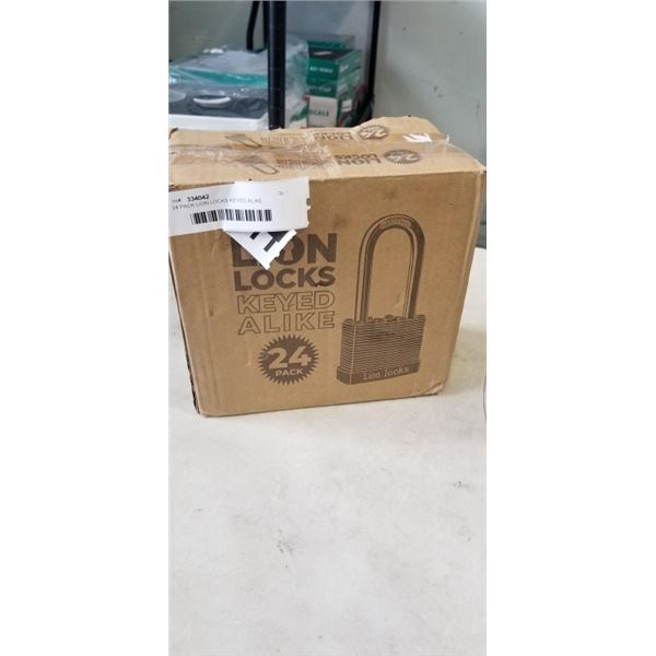 24 PACK LION LOCKS KEYED ALIKE