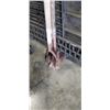 Image 3 : LAWN EDGER, FORK AND SHOVEL