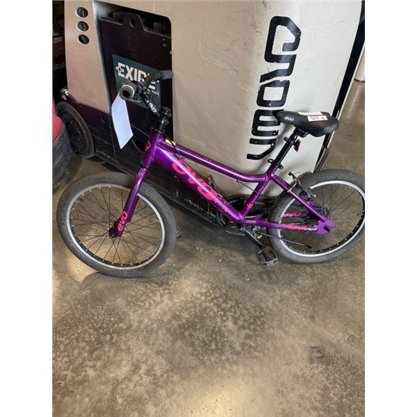 PURPLE EVO BIKE