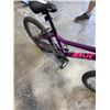 Image 5 : PURPLE EVO BIKE