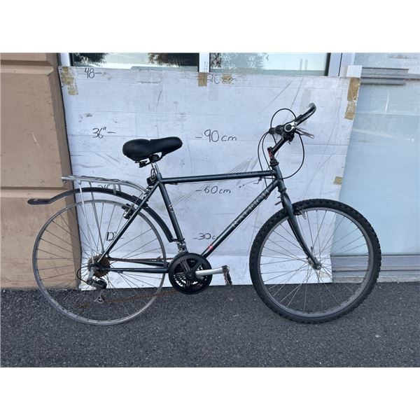 BLUE RALEIGH BIKE