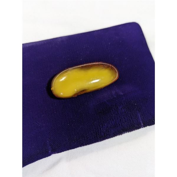 LARGE POLISHED BALTIC AMBER STONE, RARE HONEY AND BUTTERSCOTCH COMBO 1 3/4" X 3/4" 6 GRAMS