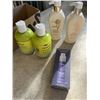 Image 1 : LOT OF DEVA CURL, PAUL MITCHELL AND ITS A 10 HAIR PRODUCTS - ALL NEW
