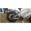 Image 2 : BLUTRON EB750S ELECTRIC UTILITY BIKE W/ CHARGER (500W MOTOR/ UP TO 70KM BATTERY RANGE/ 32 KM/HR TOP 