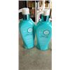 Image 2 : LOT OF NEW ITS A 10 HAIR PRODUCTS