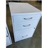 Image 2 : 2 THREE DOOR METAL CABINET