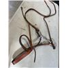 Image 3 : SET OF REINS WITH BIT