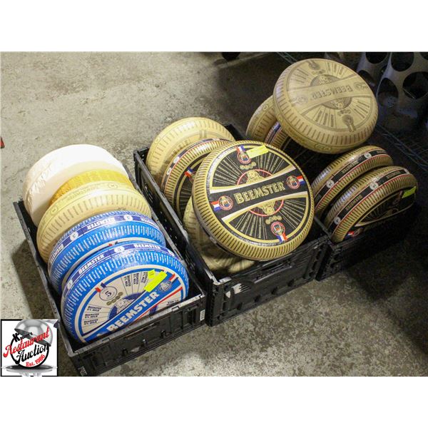 15 ASSORTED DECORATIVE PROP DISPLAY CHEESE WHEELS