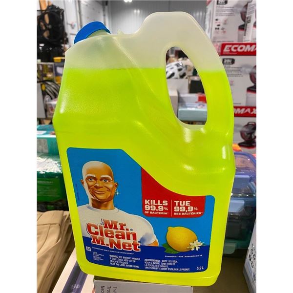 5 L OF MR CLEAN