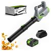 Image 1 : BNIB - Patoolio Cordless Leaf Blower (1 x Battery and Charger)