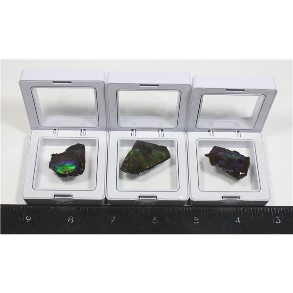 AMMOLITE, ALBERTA'S OFFICIAL GEMSONTE. THREE PIECS