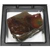 Image 2 : AMMOLITE, ALBERTA'S OFFICIAL GEMSONTE. ONE PIECE