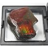 Image 3 : AMMOLITE, ALBERTA'S OFFICIAL GEMSONTE. ONE PIECE