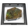 Image 2 : AMMOLITE, ALBERTA'S OFFICIAL GEMSONTE. ONE PIECE