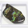 Image 2 : AMMOLITE, ALBERTA'S OFFICIAL GEMSONTE. ONE PIECE