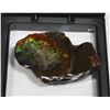 Image 2 : AMMOLITE, ALBERTA'S OFFICIAL GEMSONTE. ONE PIECE