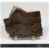 Image 1 : AMMOLITE, ALBERTA'S OFFICIAL GEMSONTE. ONE PIECE