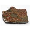 Image 2 : AMMOLITE, ALBERTA'S OFFICIAL GEMSONTE. ONE PIECE
