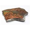 Image 3 : AMMOLITE, ALBERTA'S OFFICIAL GEMSONTE. ONE PIECE