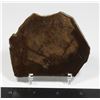 Image 1 : AMMOLITE, ALBERTA'S OFFICIAL GEMSONTE. ONE PIECE
