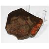 Image 2 : AMMOLITE, ALBERTA'S OFFICIAL GEMSONTE. ONE PIECE