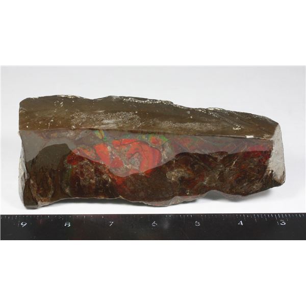 AMMOLITE, ALBERTA'S OFFICIAL GEMSONTE. LARGE PIECE