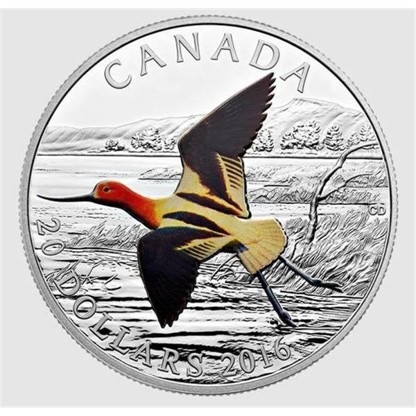 2016 CANADA $20 MIGRATORY BIRDS-THE AMERICAN