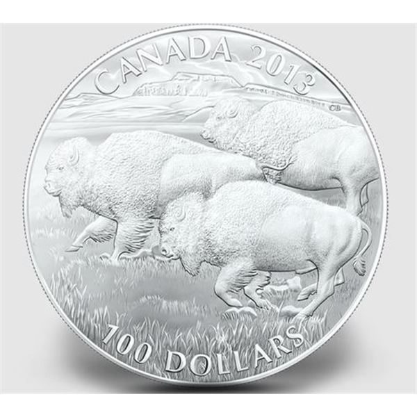 2013 CANADA $100 BISON STAMPEDE. $100 FOR $100
