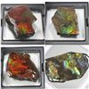 Image 1 : FEATURED ITEMS: AMMOLITE, ALBERTA'S OFFICIAL GEMSTONE