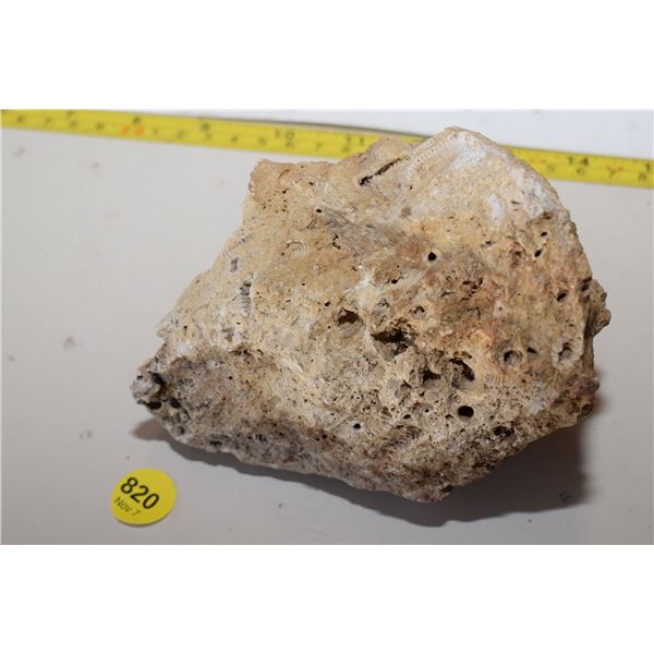 Fossil