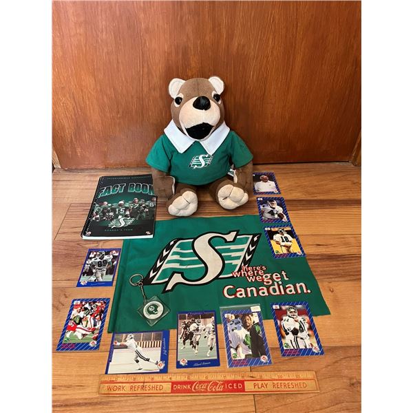 Rider lot. Gainer stuffie. Small flag. Fact book. Vintage key chain. Trading cards.