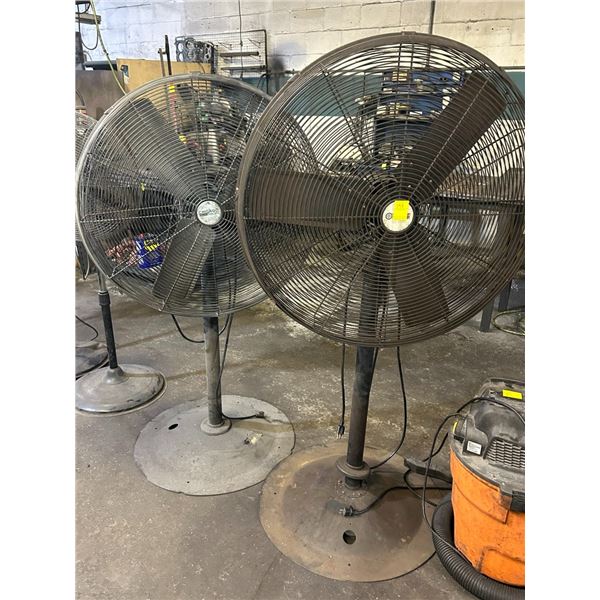 Large Pedestal Fans - 2