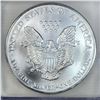Image 4 : 1999 Silver Eagle ICG MS70