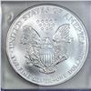 Image 4 : 1999 Silver Eagle ICG MS70