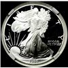 Image 3 : 1995-W Silver Eagle PGA PR70 DCAM