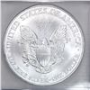 Image 4 : 1999 Silver Eagle ICG MS70