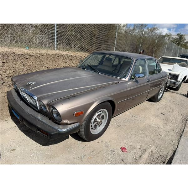 JAGU XJ6 1986 APP/DUP-T/EXP-ONLY DON