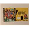 Image 2 : Black Cinema FDC
