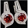 Image 1 : SILVER(4.99G),  GARNET (2CT) EARRING, SUGGESTED RETAIL VALUE $320
