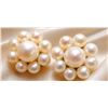 Image 1 : 14K  FRESH WATER PEARL  EARRING, SUGGESTED RETAIL VALUE $320
