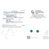 Image 3 : 14K(0.5G), LAB DIAMOND (1.2CT)EARRING, APPRAISED INSURANCE VALUE $1100