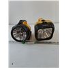 Image 2 : Ever Ready Dolphin and Ray Vac Large Flashlights Tested Works