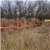 Image 2 : Co-Op Implements Cultivator, 32ft, Located offsite by Tessier, SK