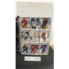 Image 1 : Hockey Card Binder with 100+ Upper Deck and Pro Set Cards, Incl, Mario Lemieux
