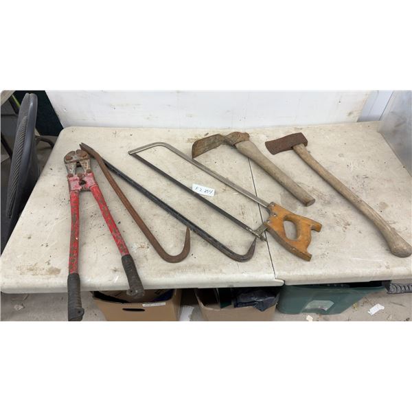 Tool Lot: Bolt Cutters, Hay Hook, Hacksaw, Billhook, Axe