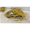 Image 4 : Assorted Extension Cords, Trouble Light